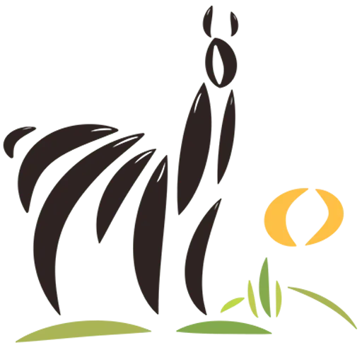 Chocollama | Prva organska čokolada u Srbiji!